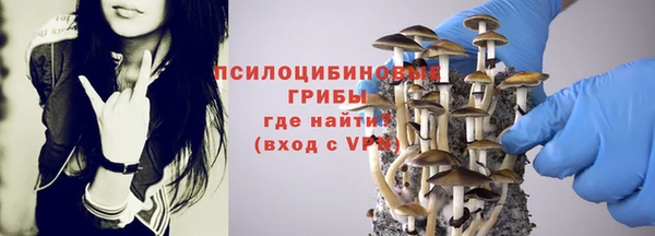 прущие крисы Нея