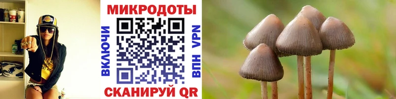 ОМГ ОМГ   Пудож  Псилоцибиновые грибы Psilocybe  сколько стоит 